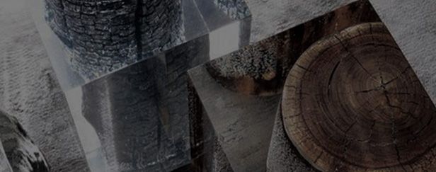 木门走整木家装路成大势所趋